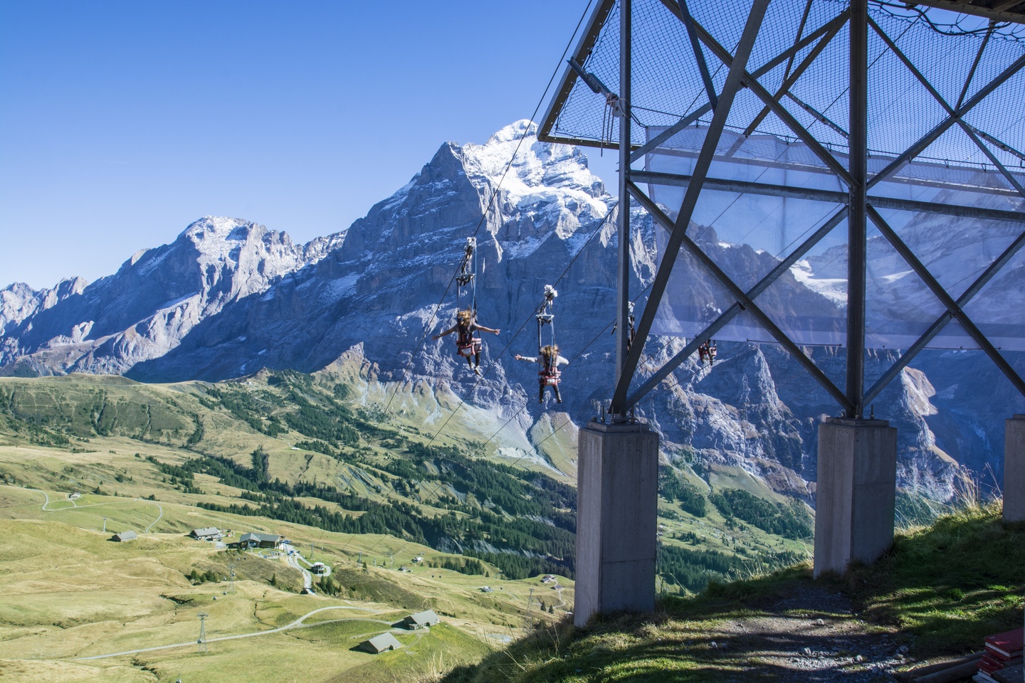 First Flyer, Grindelwald