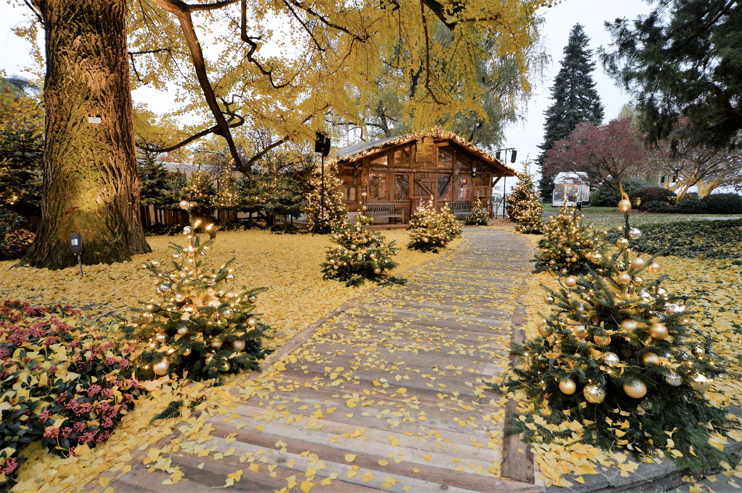 Chalet au Lac at the Baur au Lac Hotel Zurich