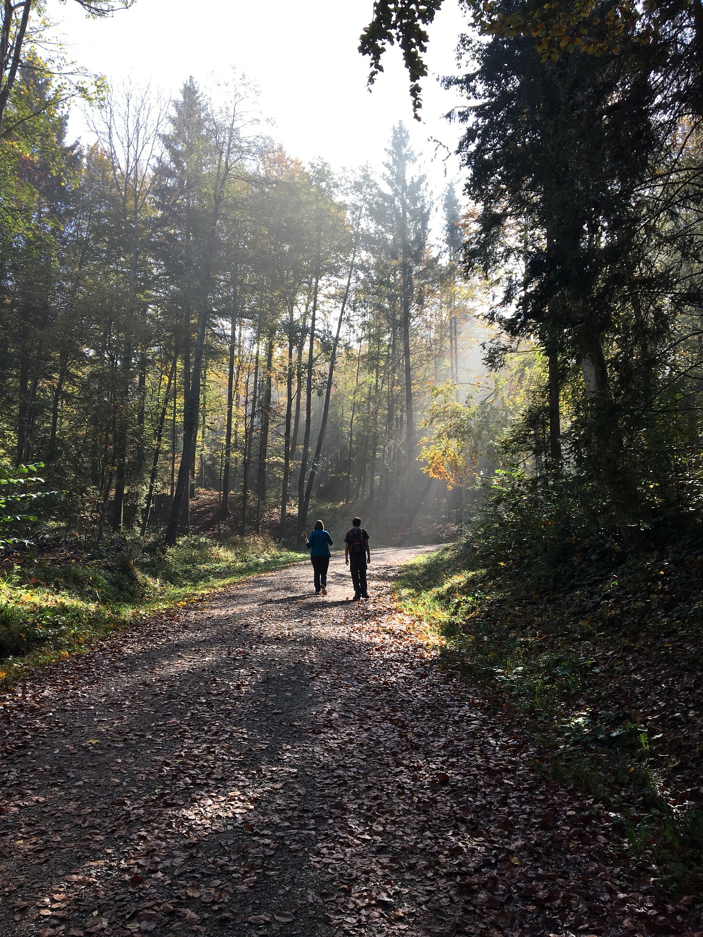3 Best Trails for Hiking in Zurich