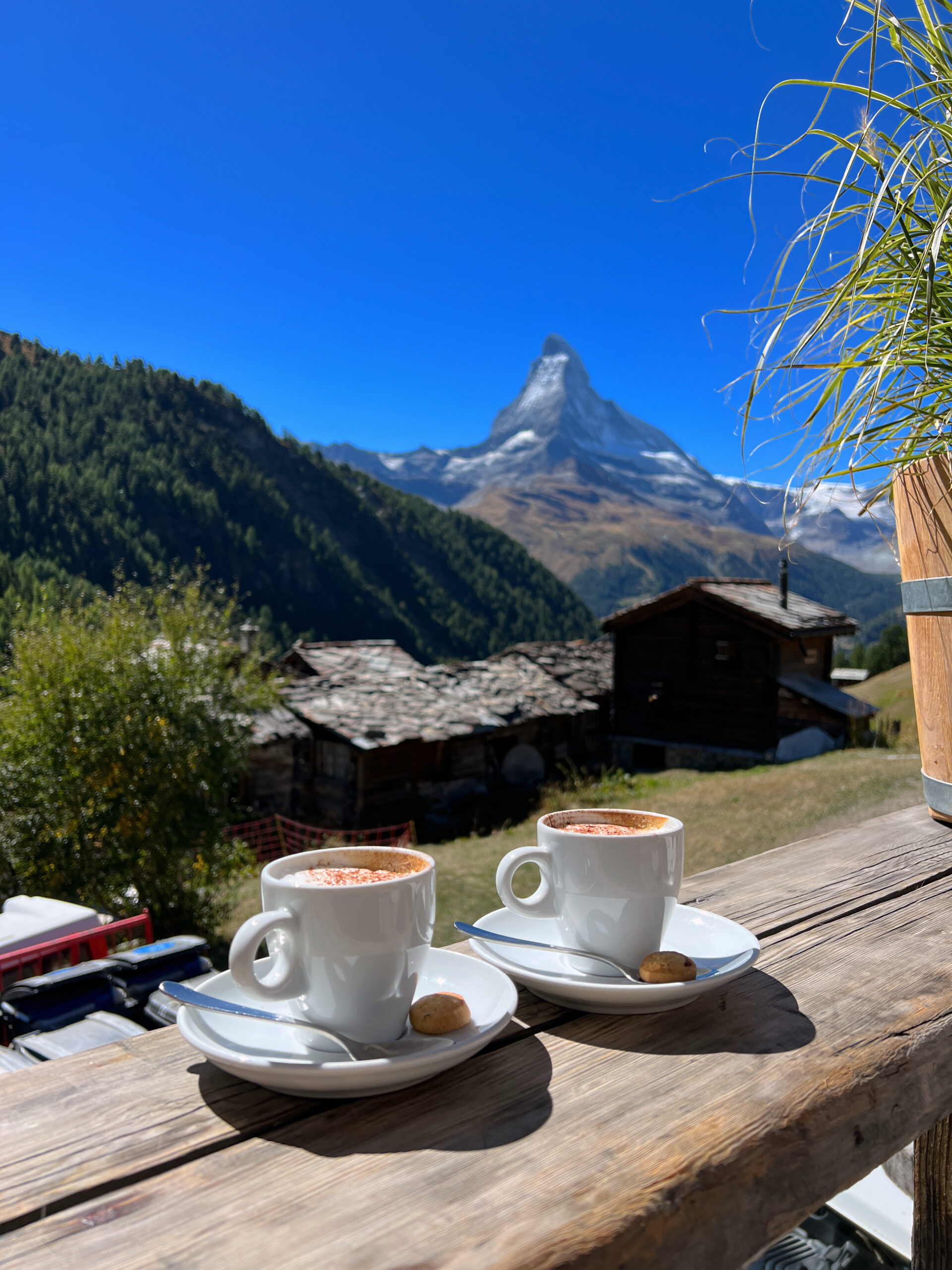 Mountain Restaurant Chez Vrony Zermatt