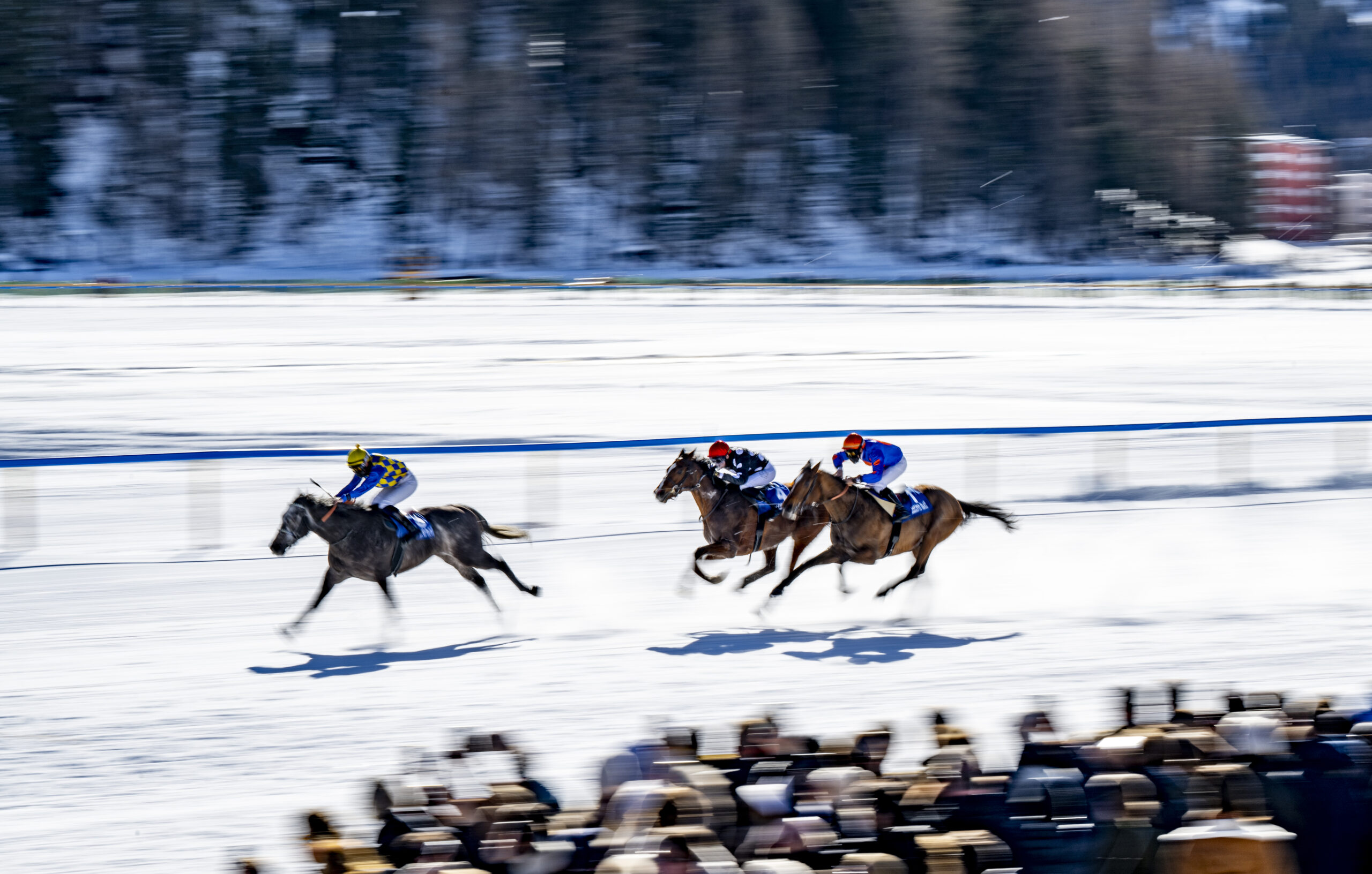 White Turf St. Moritz 2024